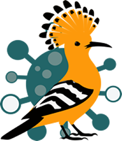 hoopoe280.png